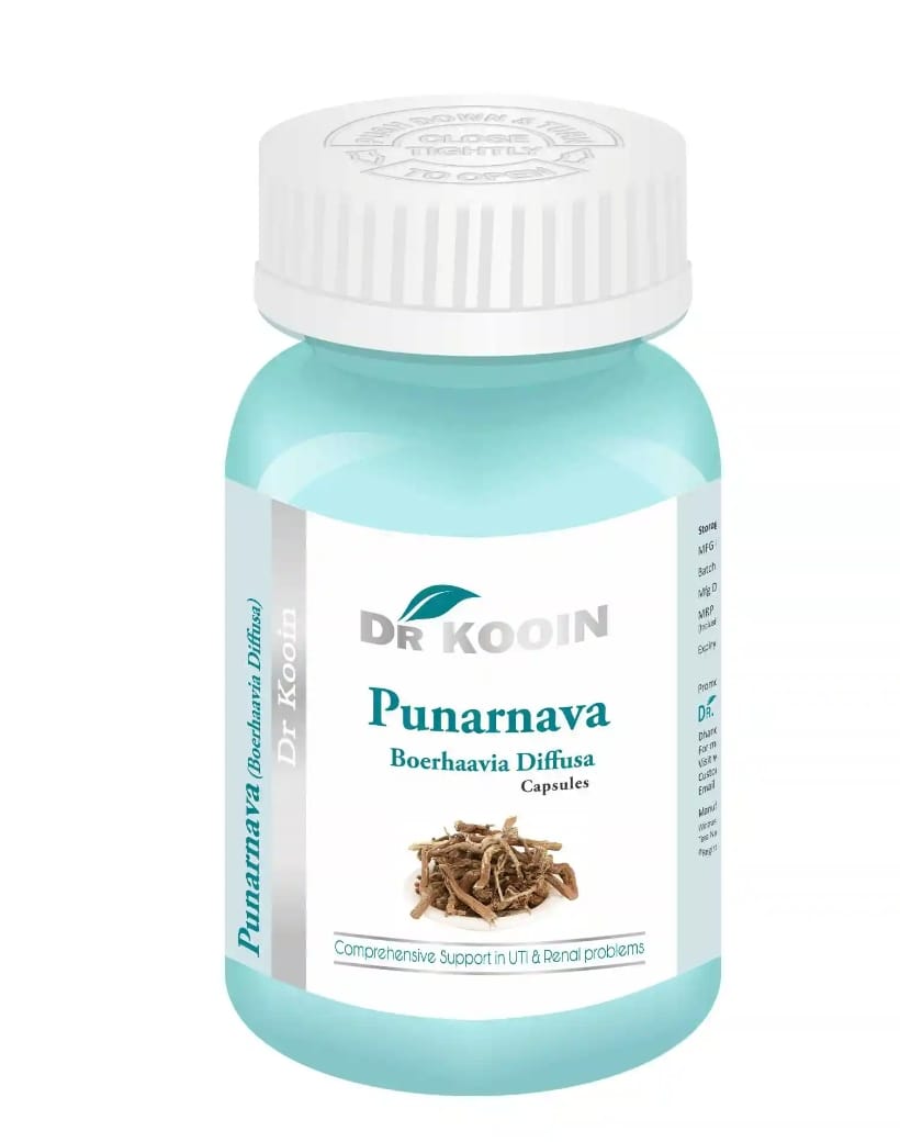 Punarnava Cardiac Tablet - Ayurvedic support for UTI and renal problems at PA Ayurveda Bero Ranchi